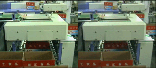 袋子裝火腿腸裝箱機(圖2)